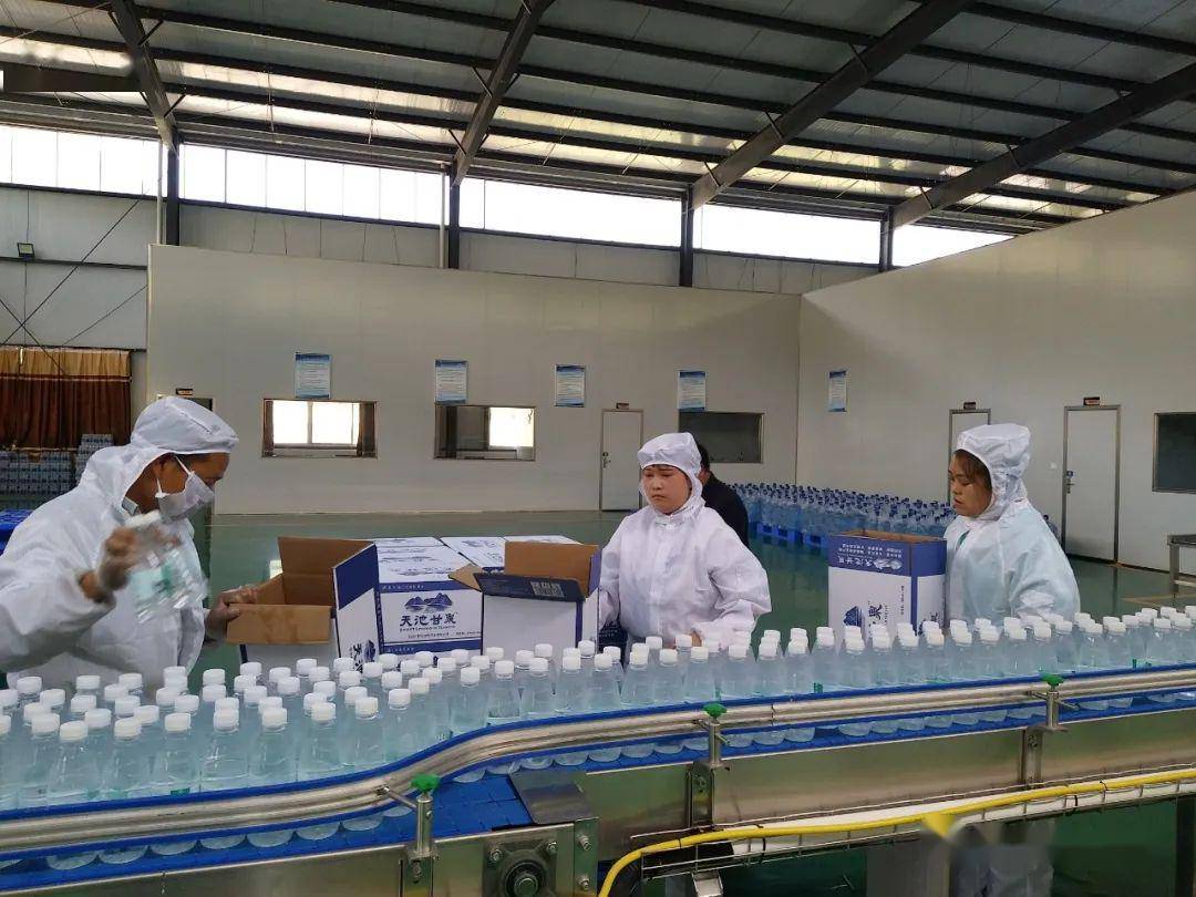 翱翔在脱贫攻坚路上的领头雁 --文县任和农副产品董事长任付全侧记
